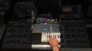 Access Virus TI2 Synthesizer - Blue Robbie Preamp
