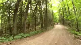 #Forest #trail #wheelsinmud #offroad #builtforadventure #mud #fypシ゚viral 