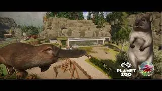Realistic Platypus and Quokkas🦘 habitat with Greenhouse | Sunndalsfjorden Zoo | Planet ZOO | part 18