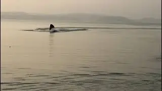 ''Jet ski ke mazay'' | jet ski in Mangladam !!!#mirpur #azadkashmir #tourism #adventure #beauty