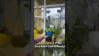 Low Space Gardening Hack 🌿 | Zero Cost Hanging Planter Jugad | Plant Lovers Idea
