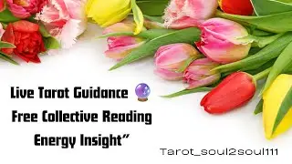 ✨&ldquo;Live Tarot Guidance 🔮 Free Collective Reading | Energy Insight&rdquo;