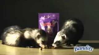 Bandits Ferret Treats by Marshall Pet