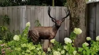 Tuinbeelden 2022 | Bronzen Beelden Winkel