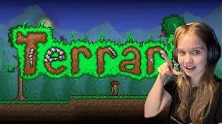 Terraria with friends