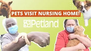 NURSING HOME PET THERAPY | PETLAND