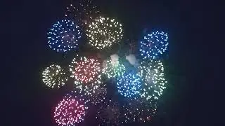 2025年8月撮影