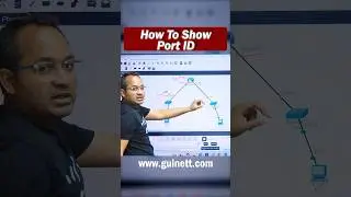 Router & Switch Port ID Explained | Packet Tracer Lab Setup