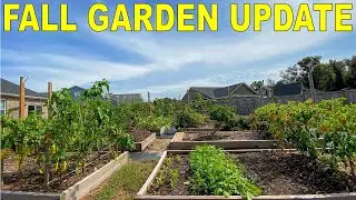 Early Fall Garden Tour and Garden Update - October 2020