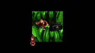 nostalgic and relaxing Donkey Kong Country OST, unwind and study