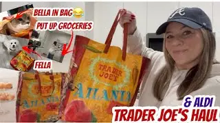 TRADER JOE’S & ALDI HAUL | PUT UP GROCERIES | BELLA IN A BAG | FELLA 