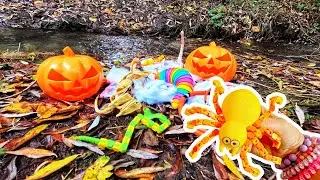 Spooky Woodland Stream | Learn Halloween Animal Names: Spider Vampire Bat Snake