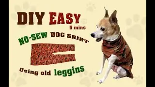 DIY: Easy Dog Shirt (No Sew) to keep your puppy warm