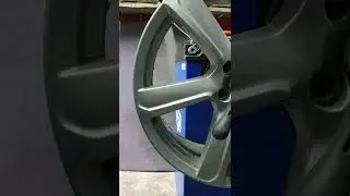 4426561 3