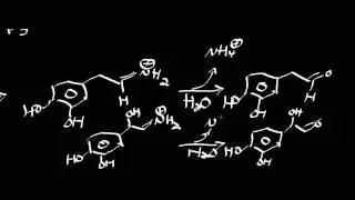 Biochemistry | Schiff Base Chemistry [Part 2/2] | Monoamine Oxidase Mechanism