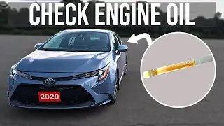 How to Check Engine Oil Level - Toyota Corolla (2019-2026)