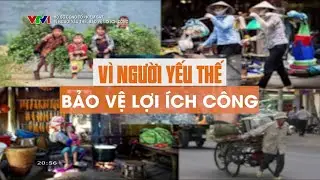Vì người yếu thế, bảo vệ lợi ích công | Hồ sơ Công tố - Kiểm sát | VTV
