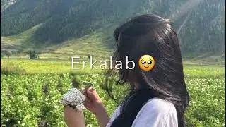 Kamandir qachon etasiz🙃