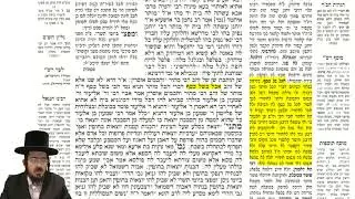 עמוד יומי מסכת שבת דף סה עמוד א באידיש