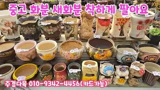 260112📍#주경다육 꽃담분 윤빛분 지당분 읍내분 설화분 수다쟁이분 예운분 민화분 도향분 누누분 해령분 유유분 도앤도분 건이분