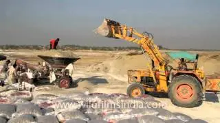 Salt packing process, Gujarat