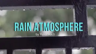 Rain day atmosphere | Free Stock Footage