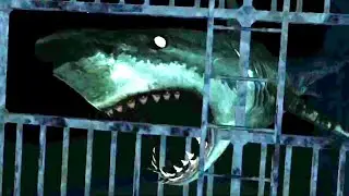 Solitude Underwater - Gameplay (SHARK Steam Free Horror Game)