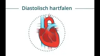 Diastolisch Hartfalen