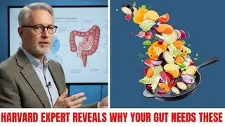 Harvard Expert: The Fiber & Fermented Foods Your Gut Is Missing