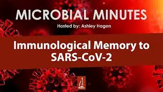 Immunological Memory to SARS-CoV-2 - Microbial Minutes