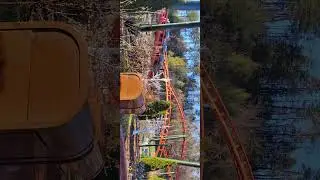 Big bear mountain #rollercoaster #dollywood #short #travel #roadtrip #smokymountains