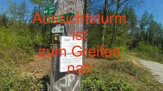 Ausflug Schellenberg Teil 1, Aussichtsturm und Bergsteigen bis die Schenkel glühen