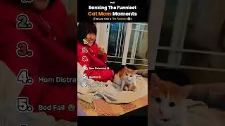 Ranking the Funniest First-Time Cat Mom Moments 🐱😂 #funny #cats
