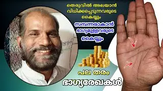 നിങ്ങളുടെ ഭാഗ്യരേഖ ഇതിലേതാണ്? ✋️💰 || Fate Line Explanation Part -2 || VedicPalmistry