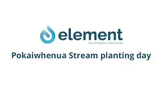 Pokaiwhenua Stream planting day