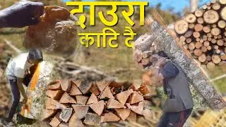 दाउरा कात्दै - Chopping Firewood for Summer season | Rural Nepal | Village life of Nepal | Village