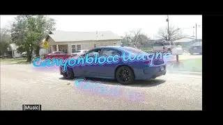 Canyonblocc Wayne- Fareal FR (Official Video)