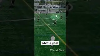 What a goal! @FCDELCO #nal #yousef_nezar