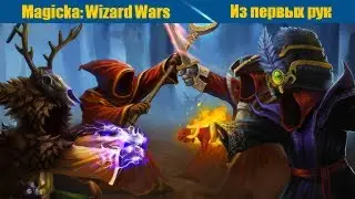 Из первых рук. Magicka: Wizard Wars