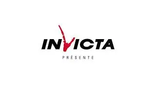 Invicta - Poêle à bois design BRIO - 4K