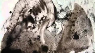 ink/liquid graphite on glass