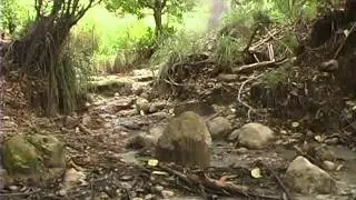 Natural Wonders of the Caribbean-Tectonics