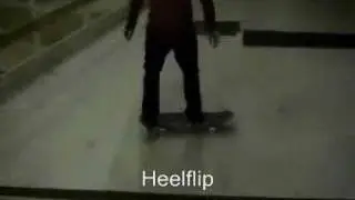 Skate 1 - Asches-Peter