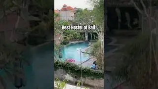 Is this the BEST hostel in the world? Savanna #bali #ubud #hostel #travel #hotel #pool