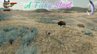 Fish: Wolf Of Yellowstone~ A Fishy Start~ Episode One
