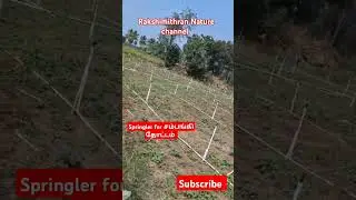 springler method 1 #rakshimithran #shorts
