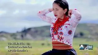 Chusik Andinos NUEVO 2018 - Tía Elenita