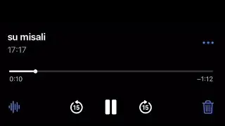 su misali aktı &ouml;mr&uuml;m ben ne sevgiler g&ouml;rd&uuml;m,bir alev gibi yandım s&ouml;nd&uuml;m &lsquo;