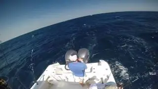 Ocean reef sailfish tournament