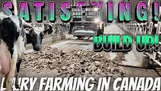 Scrapping Feed Build Up And Other Maintenance!